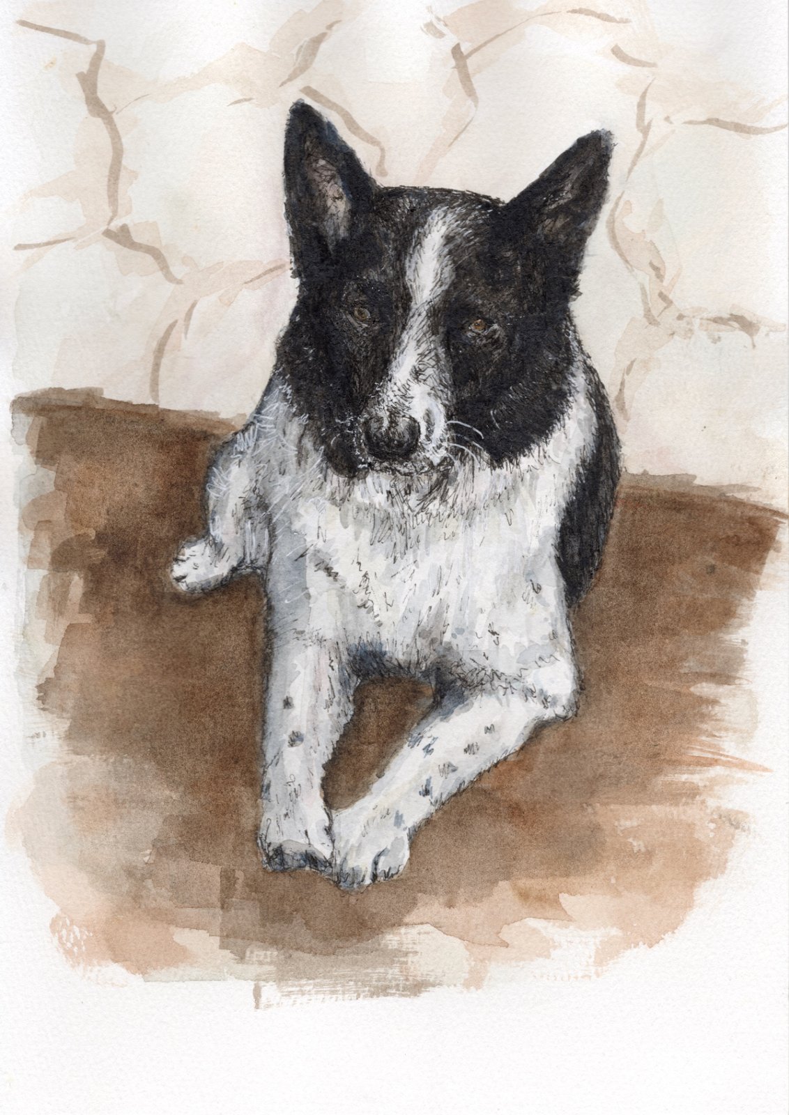 Toby — collie portrait